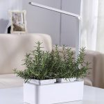 Smart Hydroponics Indoor Herb Garden Kit By SavvyGrow- Growing System